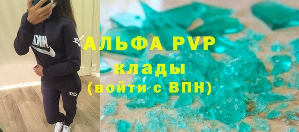 крисы Алексин